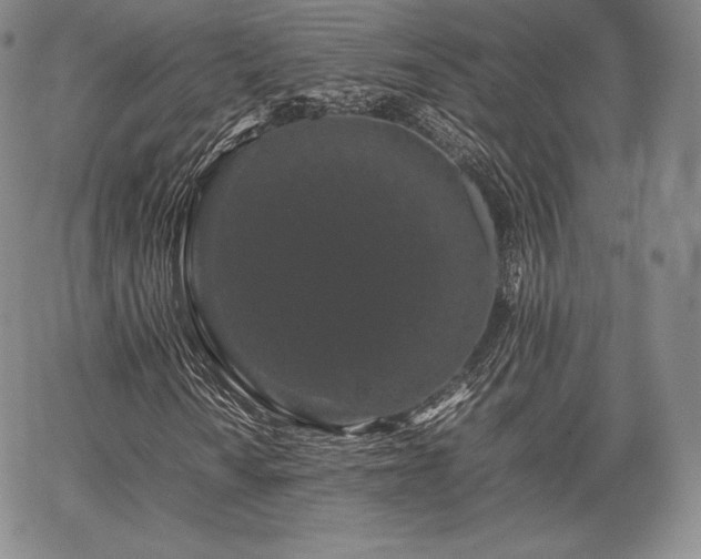 X0000067871010200604201212