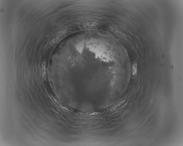 X0000067871011200604201212