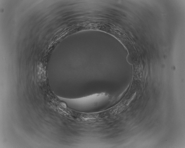 X0000067871013200604201212