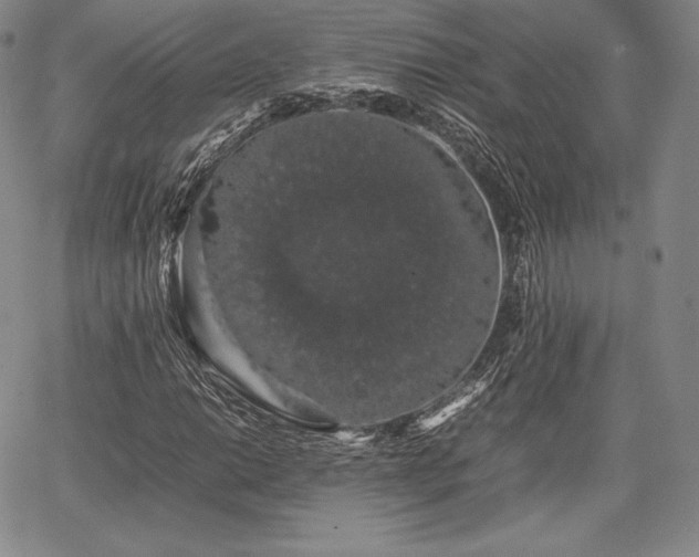 X0000067871014200604201212