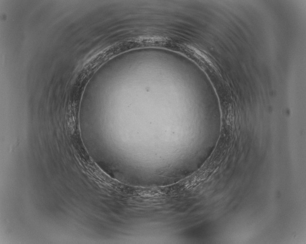 X0000067871015200604201212