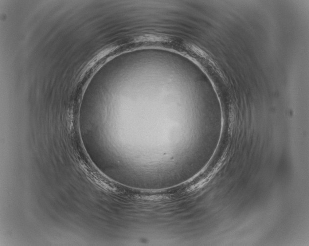 X0000067871017200604201212