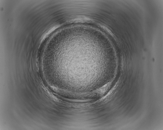 X0000067871018200604201212