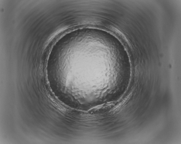 X0000067871019200604201212