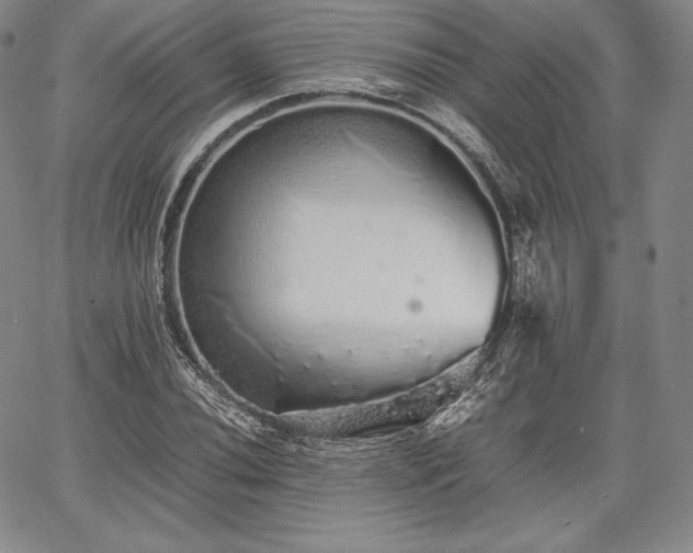 X0000067871020200604201212