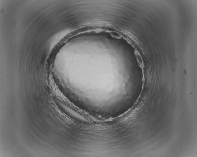 X0000067871022200604201212