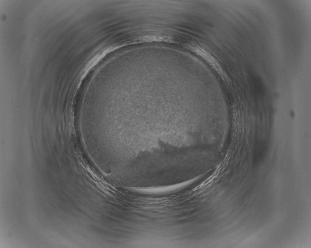 X0000067871023200604201212