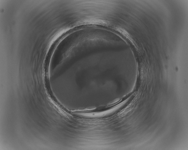 X0000067871024200604201212