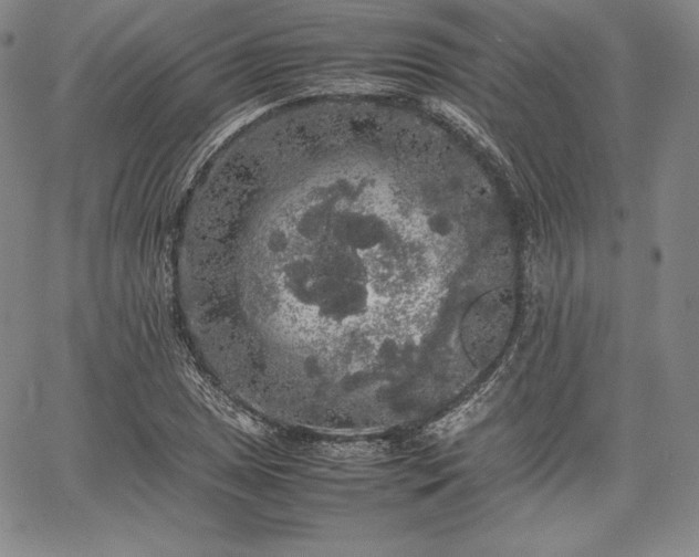 X0000067871025200604201212