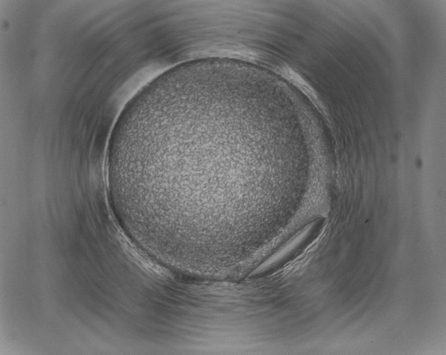 X0000067871028200604201212