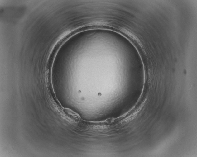 X0000067871029200604201212