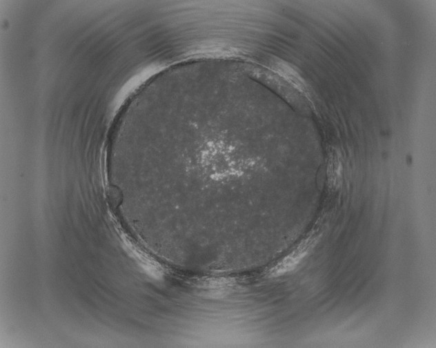 X0000067871030200604201212