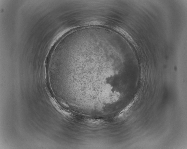 X0000067871031200604201212