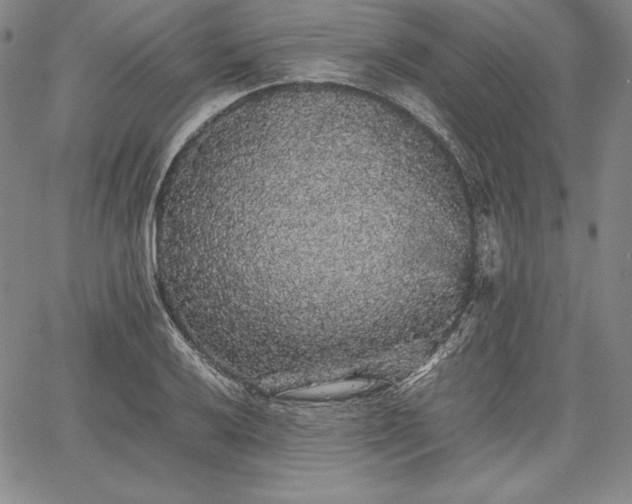 X0000067871032200604201212