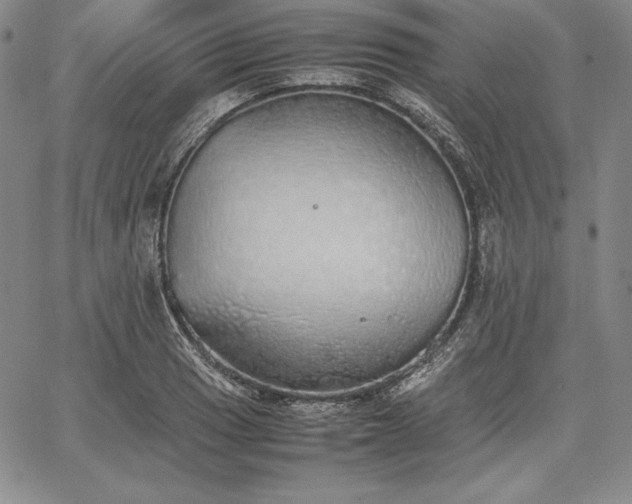 X0000067871033200604201212