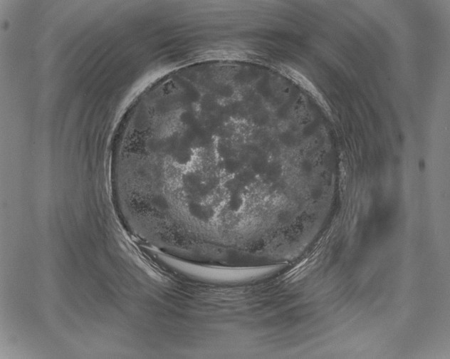 X0000067871035200604201213