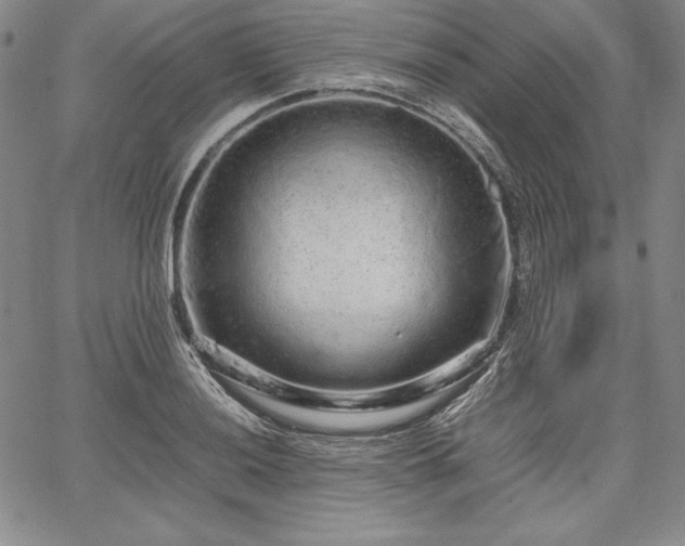 X0000067871036200604201213