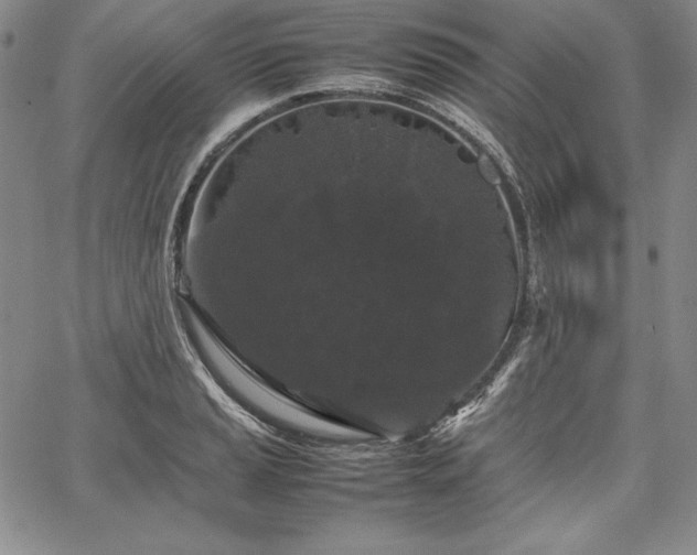 X0000067871037200604201213