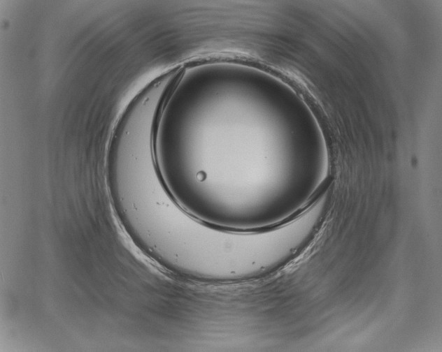 X0000067871038200604201213