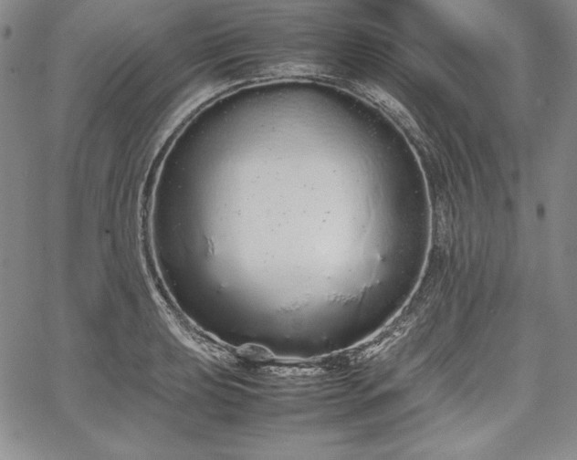 X0000067871039200604201213