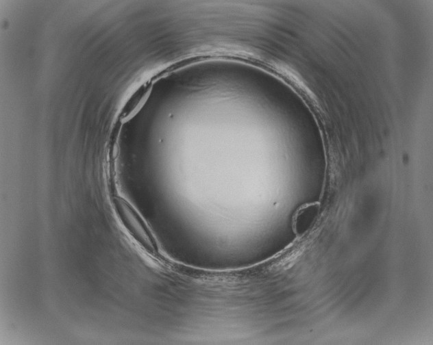 X0000067871040200604201213