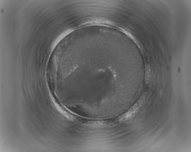 X0000067871042200604201213