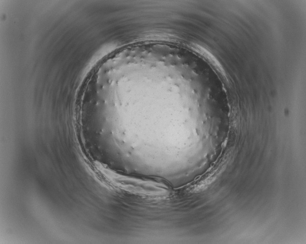 X0000067871043200604201213