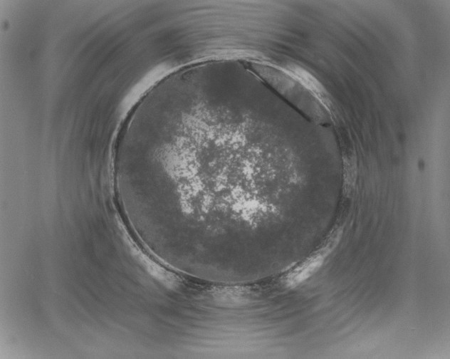 X0000067871046200604201213