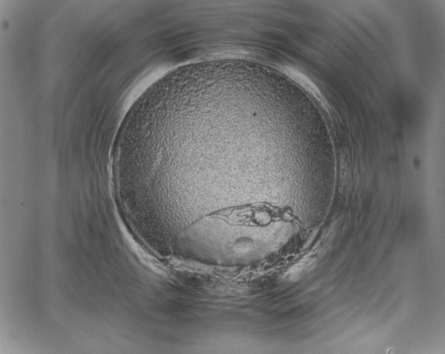 X0000067871047200604201213