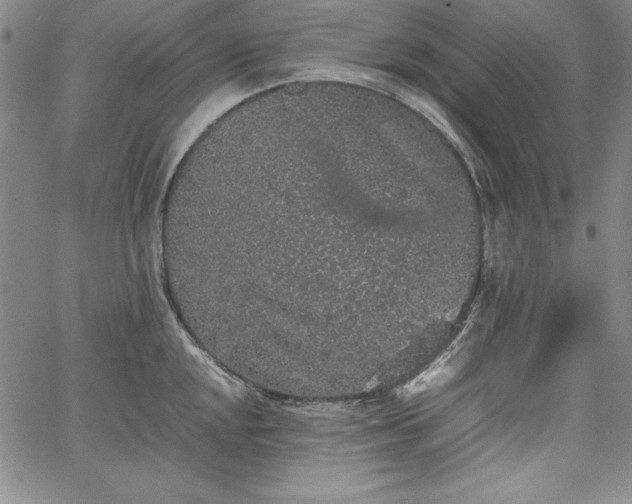 X0000067871048200604201213