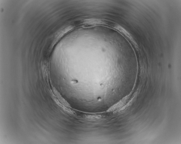 X0000067871049200604201213