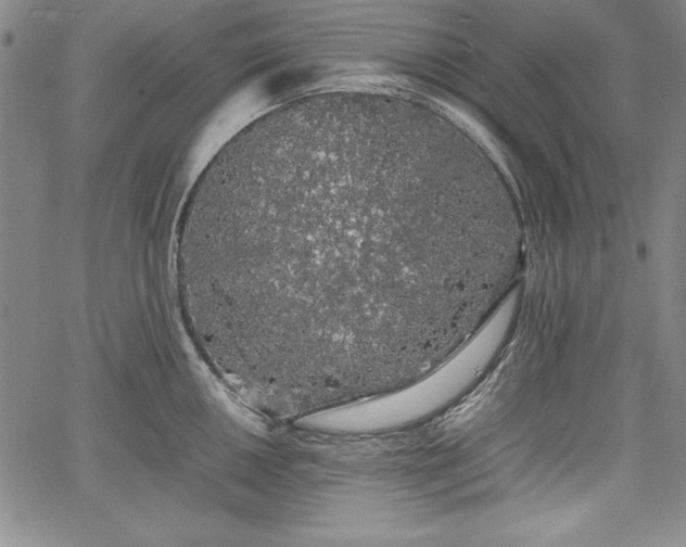 X0000067871050200604201213