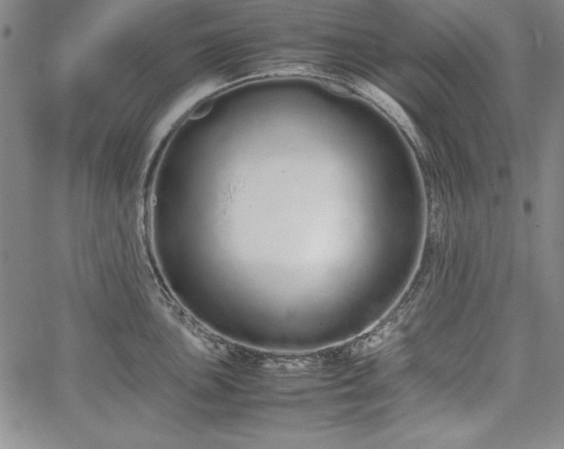 X0000067871051200604201213