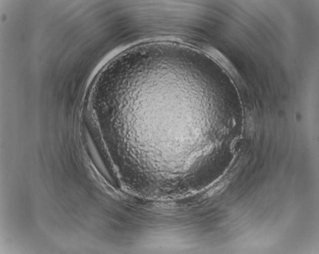 X0000067871052200604201213