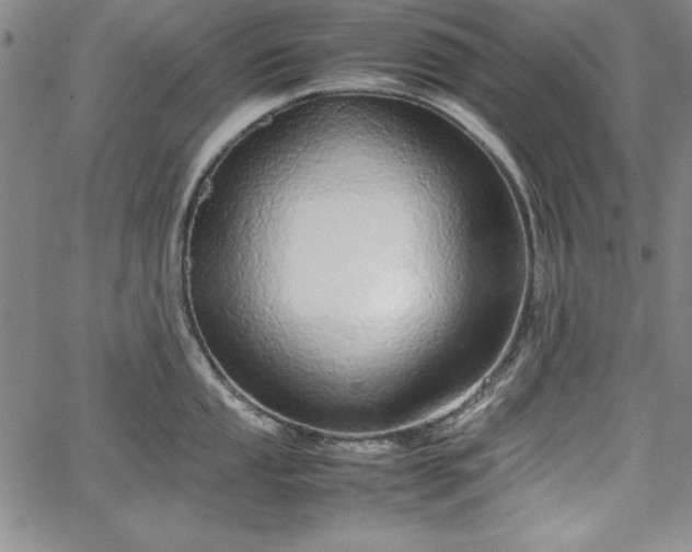 X0000067871053200604201213