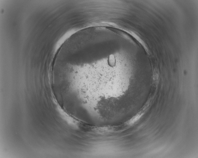 X0000067871054200604201213