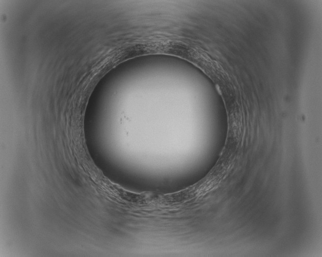 X0000067871057200604201212