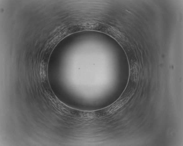 X0000067871058200604201212