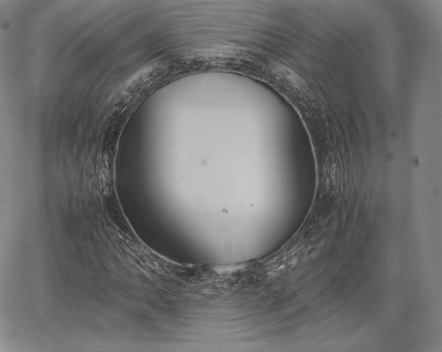 X0000067871062200604201212