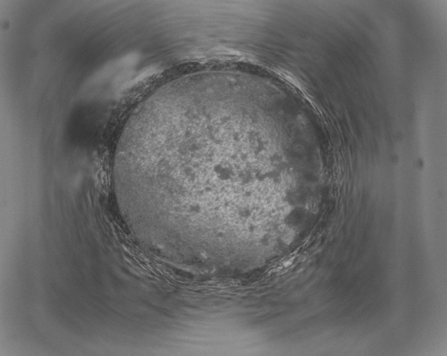 X0000067871063200604201212