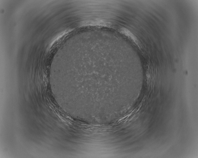 X0000067871064200604201212