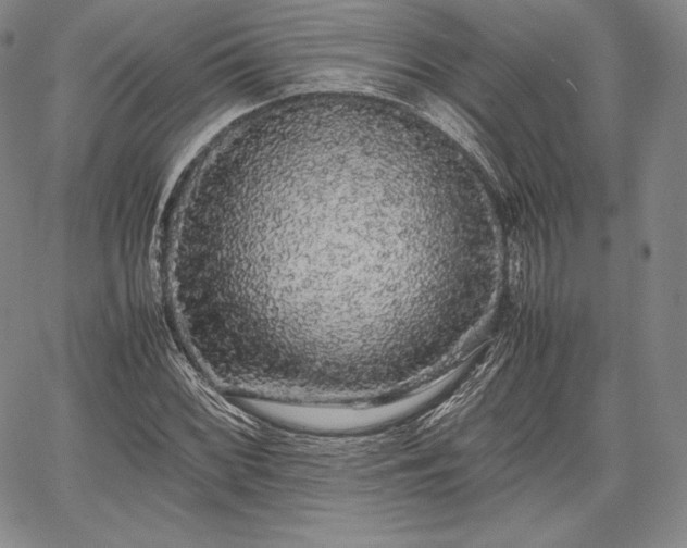 X0000067871068200604201212