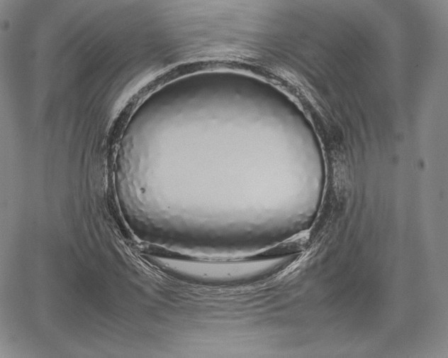 X0000067871069200604201212