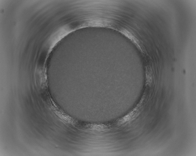 X0000067871070200604201212