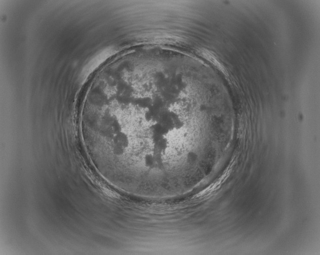 X0000067871071200604201212