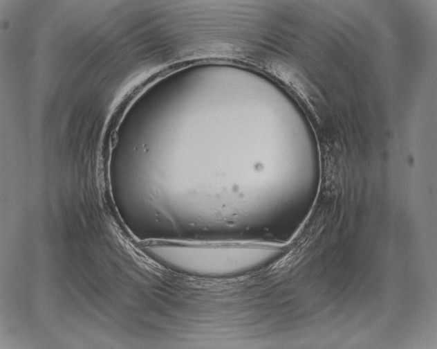 X0000067871072200604201212