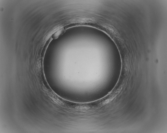 X0000067871073200604201212