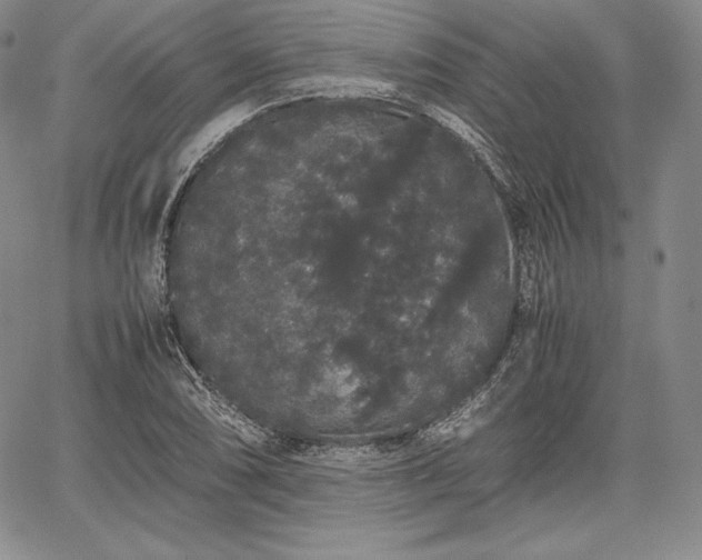 X0000067871074200604201212