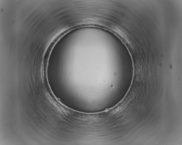 X0000067871076200604201212