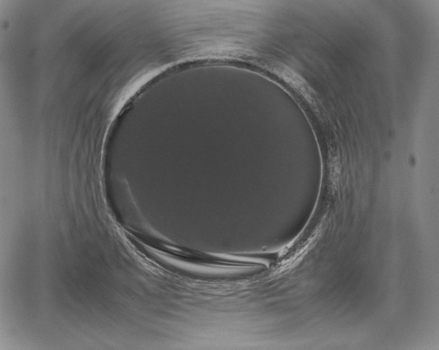 X0000067871077200604201212